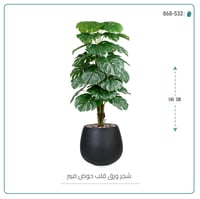 شجرة ورق قلب (ألوكاسيا) الاصطناعية بمركن فيبر بيضاوى - صورة 2