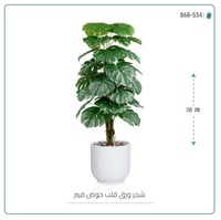 شجرة ورق قلب (ألوكاسيا) الاصطناعية بمركن فيبر أسطواني - صورة 3