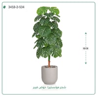 شجرة مونستيرا صناعية ( ارتفاع 160 سم ) حوض فيبر - صورة 4