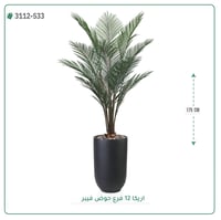 شجر أريكا صناعية ( ارتفاع 175 سم ) حوض فيبر - صورة 2