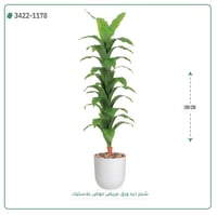 شجرة ذرة صناعية ( ارتفاع 180 سم ) حوض بلاستيك - صورة 1