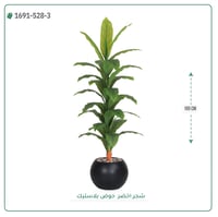 شجرة ورق أخضر وسط بمركن بلاستيك دائرى - صورة 4