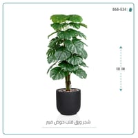 شجرة ورق قلب (ألوكاسيا) الاصطناعية بمركن فيبر أسطواني - صورة 5