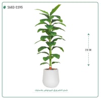 شجر أخضر صناعي ( ارتفاع 210 سم ) حوض بلاستيك - صورة 1