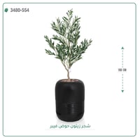 شجر زيتون اصطناعية ( ارتفاع 160 سم ) حوض فيبر - صورة 2