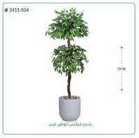 شجر فيكس صناعية ( ارتفاع 170 سم ) حوض فيبر - صورة 7