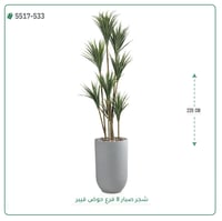شجرة صبار صناعية ( ارتفاع 220 سم ) حوض فيبر - صورة 5