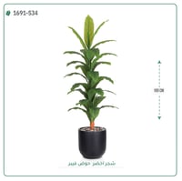 شجرة ورق أخضر وسط بمركن فيبر اسطوانى - صورة 4