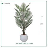 شجرة أريكا صناعية نضرة بحوض فيبر - صورة 4