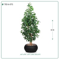 شجر ليمون صناعية ( ارتفاع 160 سم ) حوض فيبر - صورة 6