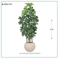 شجرة ورق ياسمين صناعية ( ارتفاع 175 سم ) حوض فيبر مقلم - صورة 1