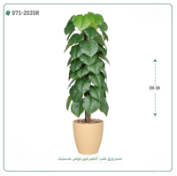 شجرة ورق قلب اصطناعية ( ارتفاع 205 سم ) حوض بلاستيك - صورة 3