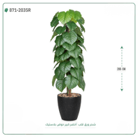 شجرة ورق قلب اصطناعية ( ارتفاع 205 سم ) حوض بلاستيك - صورة 4