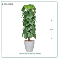 شجرة ورق قلب اصطناعية ( ارتفاع 205 سم ) حوض بلاستيك - صورة 1