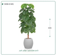 شجرة ورق قلب صناعية ( ارتفاع 160 سم ) حوض فيبر - صورة 5