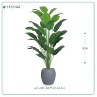 شجر موز صناعية ( ارتفاع 135 سم ) حوض فيبر - صورة 6