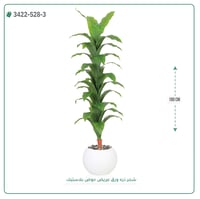 شجرة ذرة صناعية ( ارتفاع 180 سم ) حوض بلاستيك دائري - صورة 11