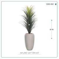صبار اصطناعي كبير بمركن فيبر بيضاوى - صورة 2