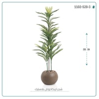شجرة أريكا اصطناعية (3 فرع) بمركن بلاستيك دائرى - صورة 4