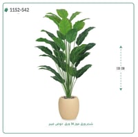 شجر موز صناعية ( ارتفاع 135 سم ) حوض فيبر - صورة 5