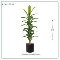 شجرة ورق أخضر وسط بمركن بلاستيك أسطواني - صورة 3