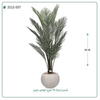 شجرة أريكا صناعية ( ارتفاع 185 سم ) حوض فيبر - صورة 4