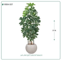 شجرة ورق ياسمين صناعية ( ارتفاع 175 سم ) حوض فيبر مقلم - صورة 5