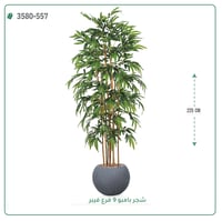 شجرة بامبو صناعية ( ارتفاع 225 سم ) حوض فيبر مقلم - صورة 7