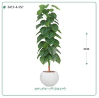 شجرة ورق قلب اصطناعية ( ارتفاع 205 سم ) حوض فيبر - صورة 4