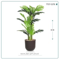 نخل أريكا صغير (3 فروع) بمركن بلاستيك أسطواني - صورة 2