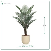 شجر أريكا صناعية ( ارتفاع 155 سم ) حوض فيبر - صورة 2