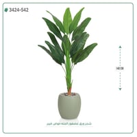 شجر عصفور الجنة صناعية ( ارتفاع 140 سم ) حوض فيبر - صورة 1