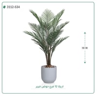 شجر أريكا صناعية ( ارتفاع 155 سم ) حوض فيبر - صورة 7
