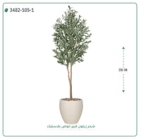 شجر زيتون صناعية ( ارتفاع 230 سم ) حوض بلاستيك - صورة 3