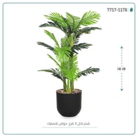 نخل أريكا صغير (3 فروع) بمركن بلاستيك أسطواني - صورة 4