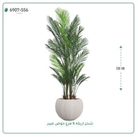 شجرة أريكا صناعية ( ارتفاع 230 سم ) حوض فيبر - صورة 3