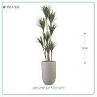شجرة صبار صناعية ( ارتفاع 220 سم ) حوض فيبر - صورة 2