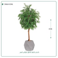 شجرة بامبو صناعية جذع خشبي طبيعي حوض فيبر - صورة 22