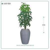شجر مانجو صناعية ( ارتفاع 155 سم ) حوض بلاستك - صورة 3