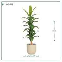 شجرة ورق أخضر وسط بمركن فيبر اسطوانى - صورة 3