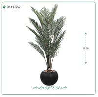 شجرة أريكا صناعية ( ارتفاع 185 سم ) حوض فيبر - صورة 2