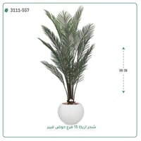 شجرة أريكا صناعية ( ارتفاع 185 سم ) حوض فيبر - صورة 5
