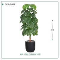 شجرة مونستيرا صناعية ( ارتفاع 160 سم ) حوض فيبر - صورة 3