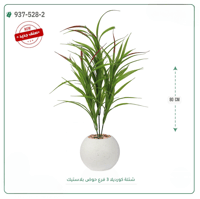 شجر كورديلا صناعية ( ارتفاع 80 سم ) حوض بلاستك - صورة 2