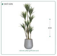 شجر صبار صناعية ( ارتفاع 180 سم ) حوض بلاستيك - صورة 2