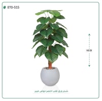 شجرة ورق قلب(ألوكاسيا) اصطناعية ( ارتفاع 140سم ) بمركن فيبر - صورة 2