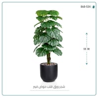شجرة ورق قلب (ألوكاسيا) الاصطناعية بمركن فيبر أسطواني - صورة 1