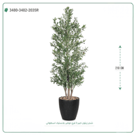 شجرة زيتون صناعية ( ارتفاع 210 سم ) حوض بلاستيك اسطواني - صورة 2