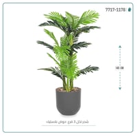 نخل أريكا صغير (3 فروع) بمركن بلاستيك أسطواني - صورة 1