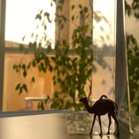 ميدالية جمل (أو بتصميم على الطلب) - صورة 1